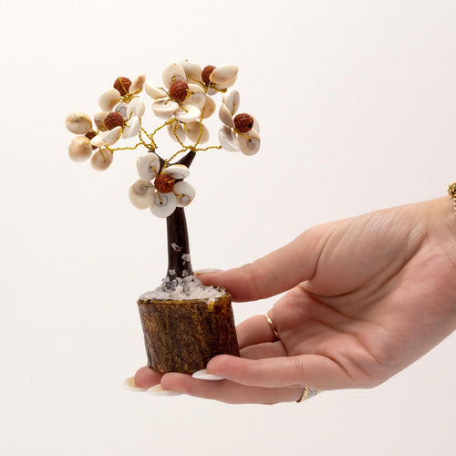 Arbre Gomati Chakra médium (oeil de sainte Lucy) avec rudraksha sur socle en bois, une décoration spirituelle et artisanale idéale pour autel, bureau ou espace bien-être.