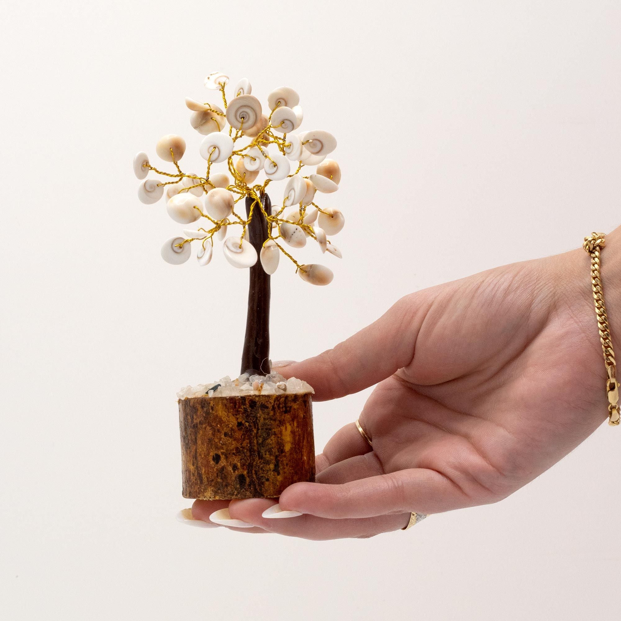 Apportez une touche spirituelle et symbolique à votre intérieur avec cet arbre circulaire médium Œil de Sainte-Lucie. Composé de 45 pierres naturelles, il séduit par son style artisanal, sa présence harmonieuse et son esthétique inspirée des traditions sacrées.