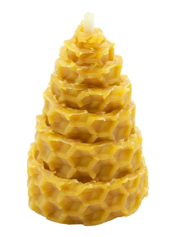 Bougie sapin cire d’abeille 100 % naturelle 5 cm