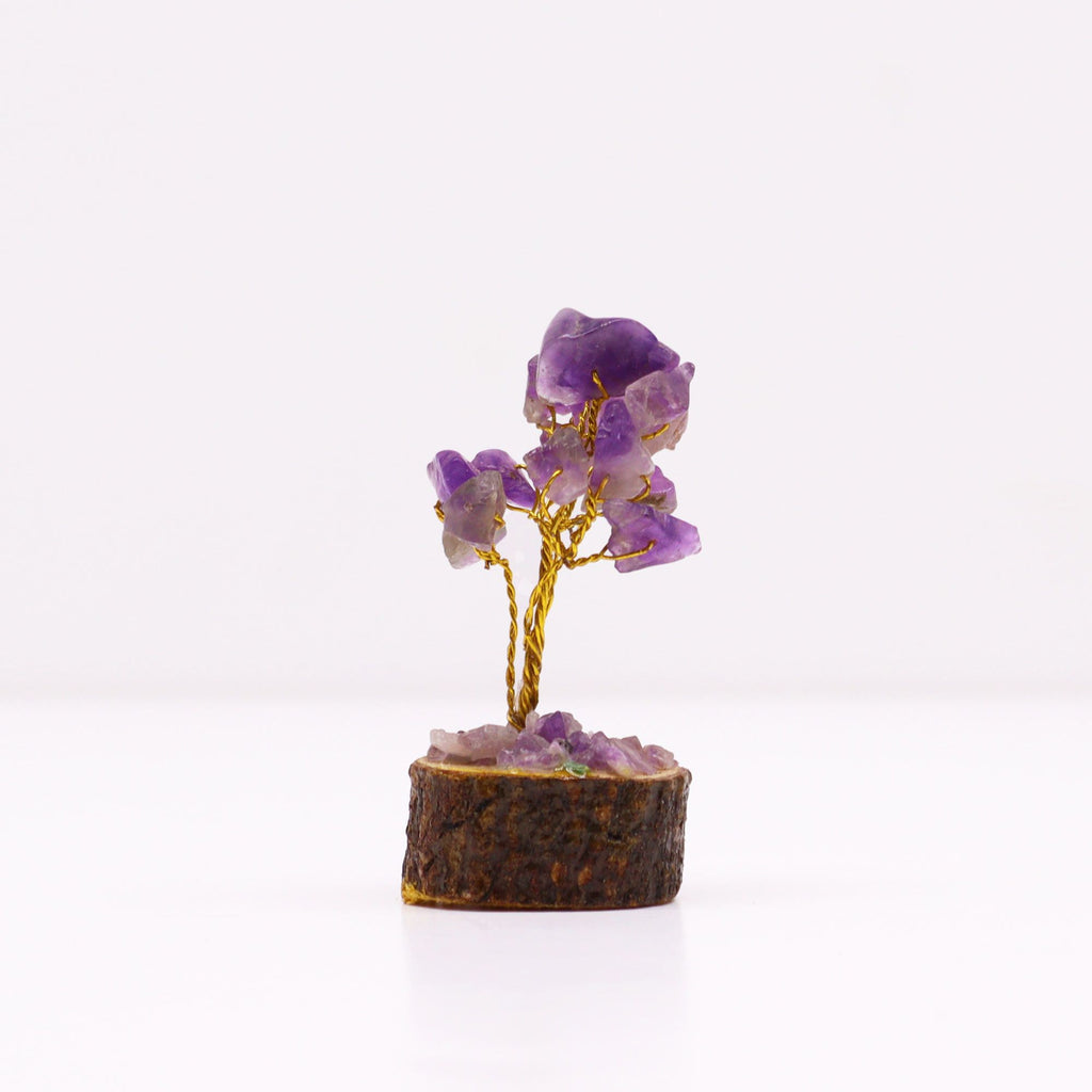 Ajoutez une touche minérale et symbolique à votre intérieur avec ce mini arbre en améthyste sur socle en bois. Orné de 15 pierres d’améthyste, il séduit par son format délicat, son charme artisanal et son esthétique spirituelle.