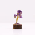 Ajoutez une touche minérale et symbolique à votre intérieur avec ce mini arbre en améthyste sur socle en bois. Orné de 15 pierres d’améthyste, il séduit par son format délicat, son charme artisanal et son esthétique spirituelle.