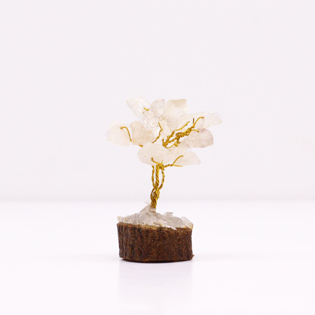 Apportez une touche minérale et lumineuse à votre intérieur avec ce mini arbre en cristal de roche sur socle en bois. Orné de 15 pierres de cristal de roche, il séduit par son petit format, son style artisanal et son esthétique spirituelle.