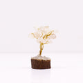 Apportez une touche minérale et lumineuse à votre intérieur avec ce mini arbre en cristal de roche sur socle en bois. Orné de 15 pierres de cristal de roche, il séduit par son petit format, son style artisanal et son esthétique spirituelle.